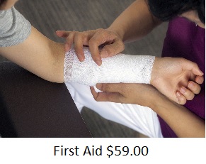 First Aid Only $59