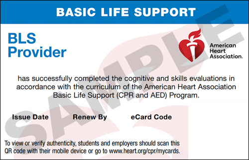 cpr-card-certification